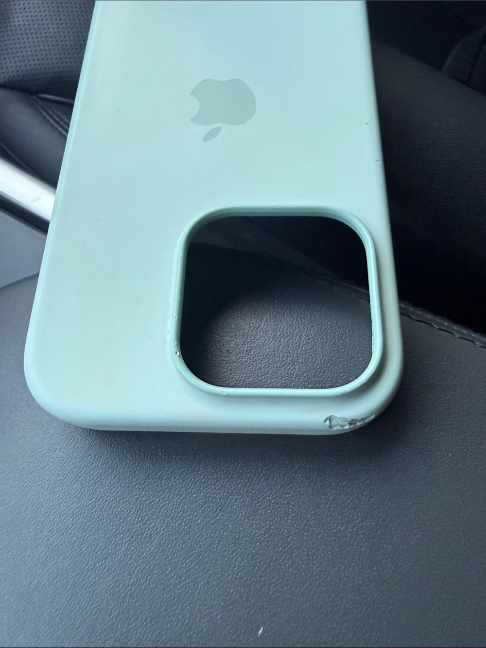 Apple Silicone iPhone Case - Mint Green